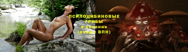 экстази Богородск