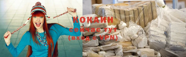 спиды Бородино