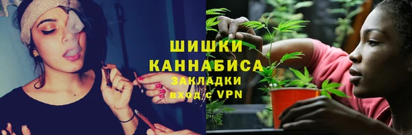 экстази Богданович