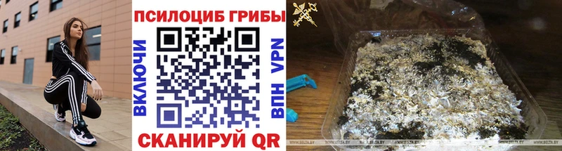 Галлюциногенные грибы прущие грибы  Набережные Челны 