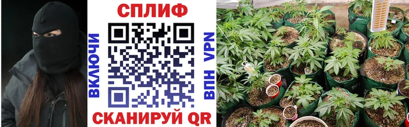 цена наркотик Набережные Челны Бошки Шишки семена